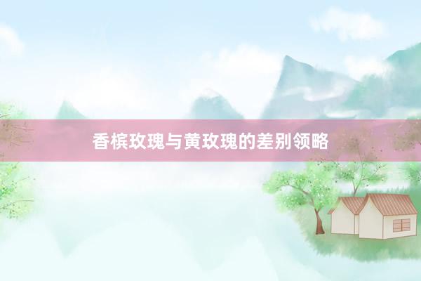 香槟玫瑰与黄玫瑰的差别领略