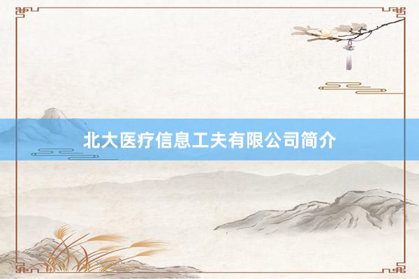 北大医疗信息工夫有限公司简介