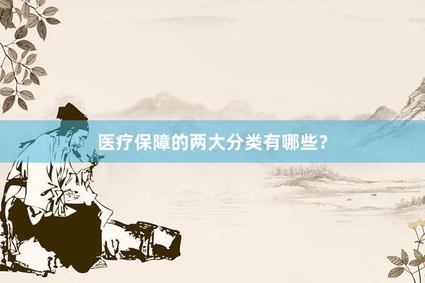 医疗保障的两大分类有哪些？