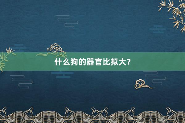 什么狗的器官比拟大？