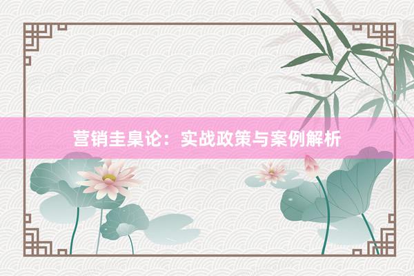 营销圭臬论:实战政策与案例解析